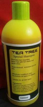 We stock the widest range of Essential Oils for Aromatherapy