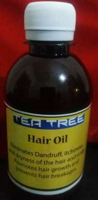 We stock the widest range of Essential Oils for Aromatherapy