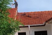 Roof cleaning Services