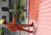 Roof cleaning Services