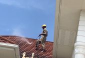 Roof cleaning Services