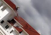 Roof cleaning Services