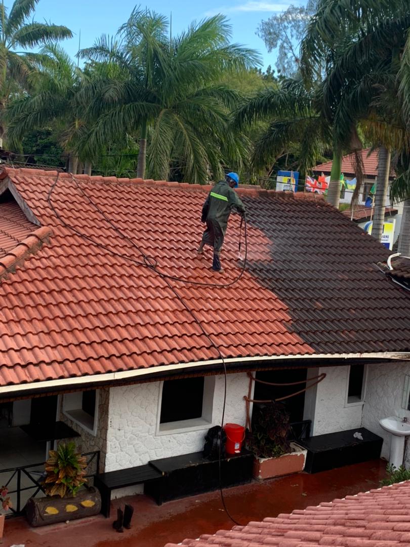 Roof cleaning Services