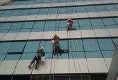 Window cleaning Services