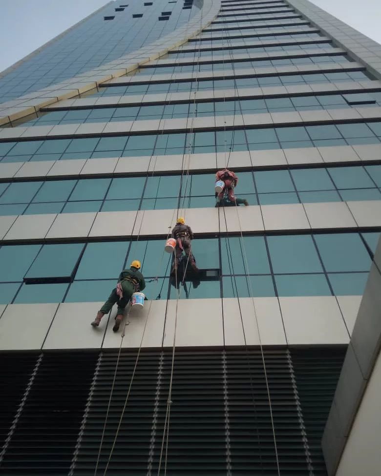 Window cleaning Services