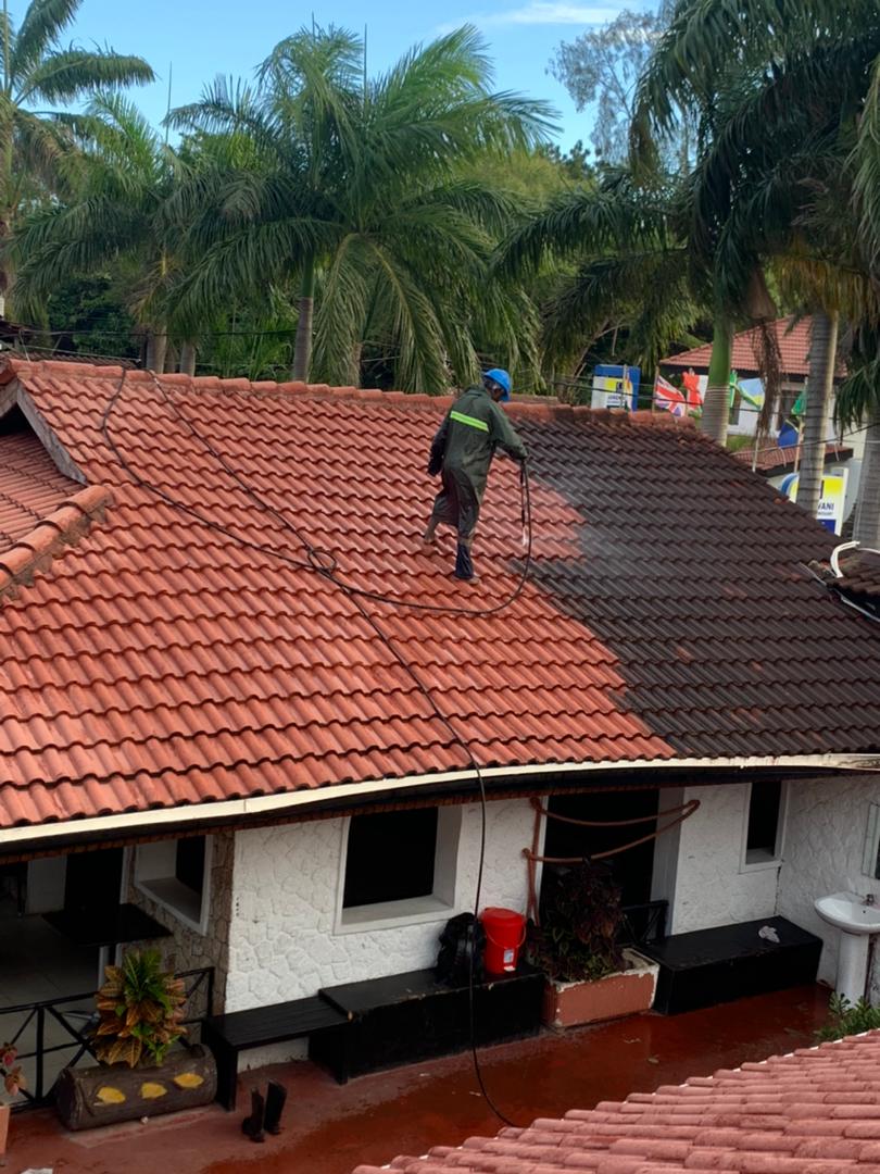 Roof cleaning Services