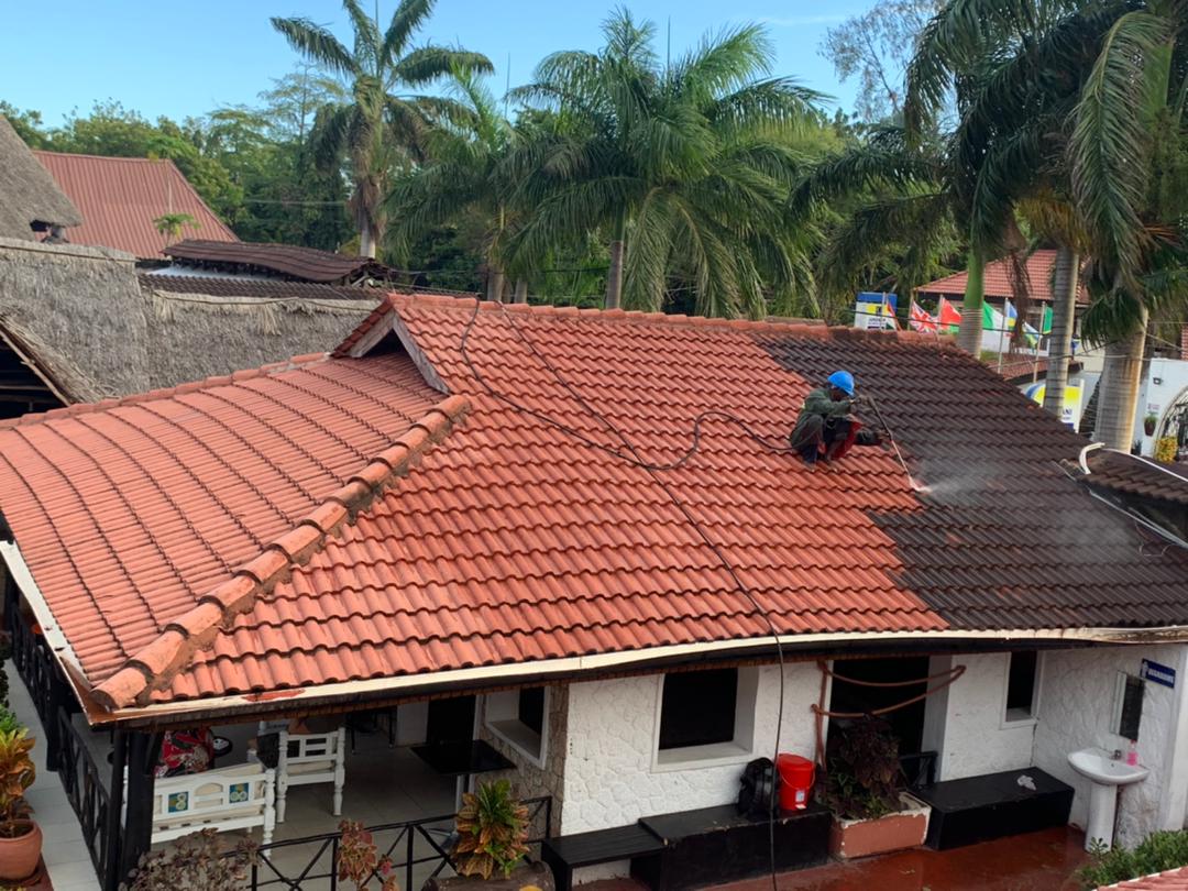 Roof cleaning Services
