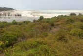 Land overlooking beautiful beach South of Zanzibar