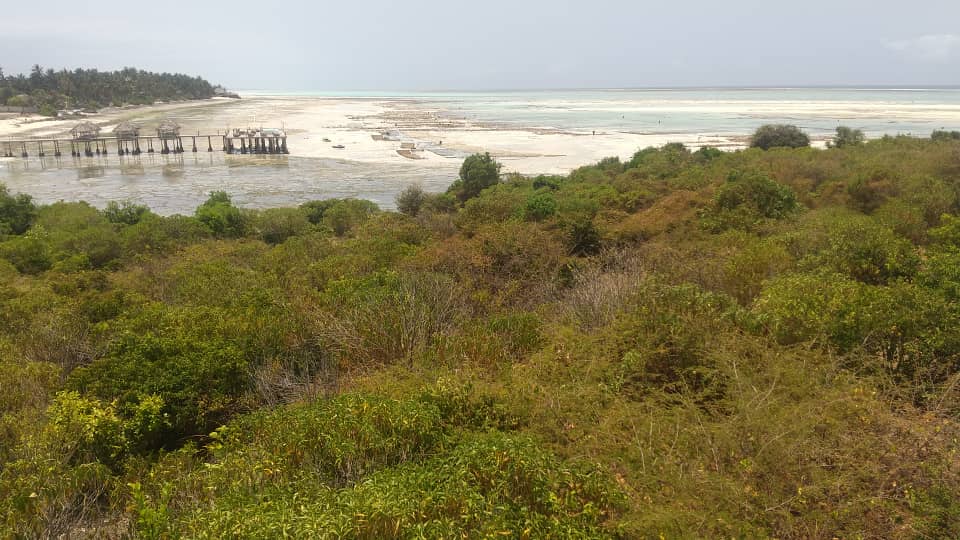 Land overlooking beautiful beach South of Zanzibar