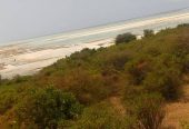Land overlooking beautiful beach South of Zanzibar