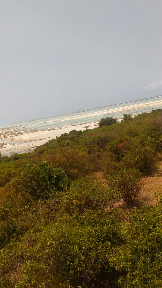 Land overlooking beautiful beach South of Zanzibar