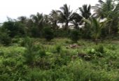 Sea View land Muyuni South Zanzibar for sale