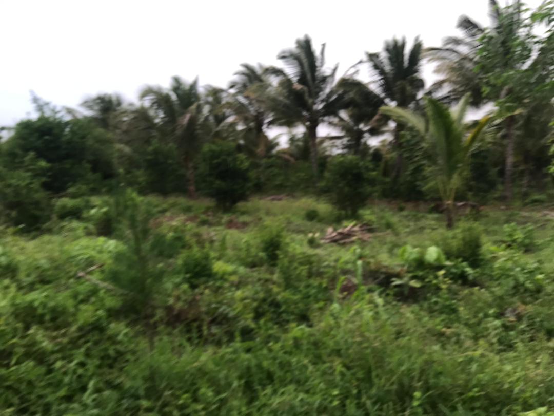 Sea View land Muyuni South Zanzibar for sale