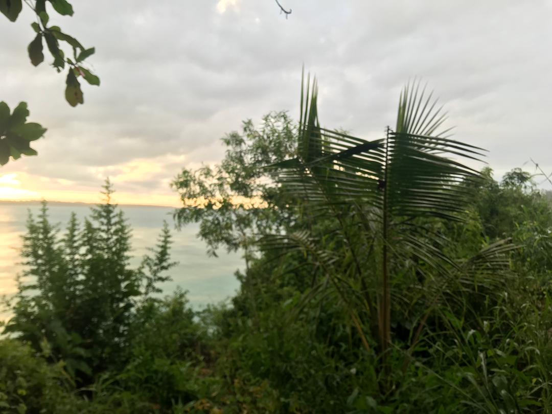 Sea View land Muyuni South Zanzibar for sale