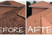Roof cleaning Services