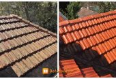 Roof cleaning Services