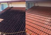 Roof cleaning Services