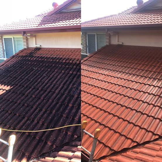 Roof cleaning Services