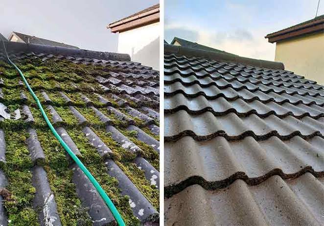 Roof cleaning Services