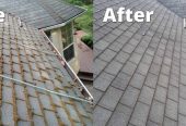 Roof cleaning Services