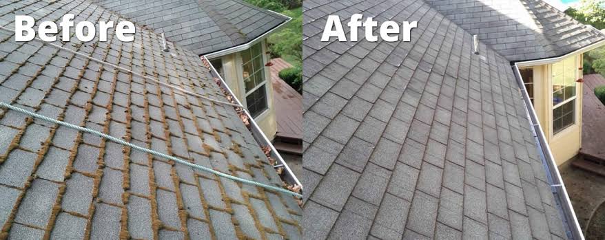 Roof cleaning Services