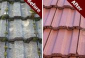 Roof cleaning Services