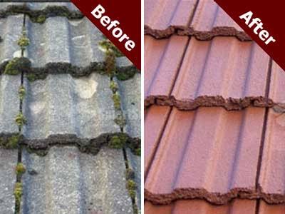 Roof cleaning Services